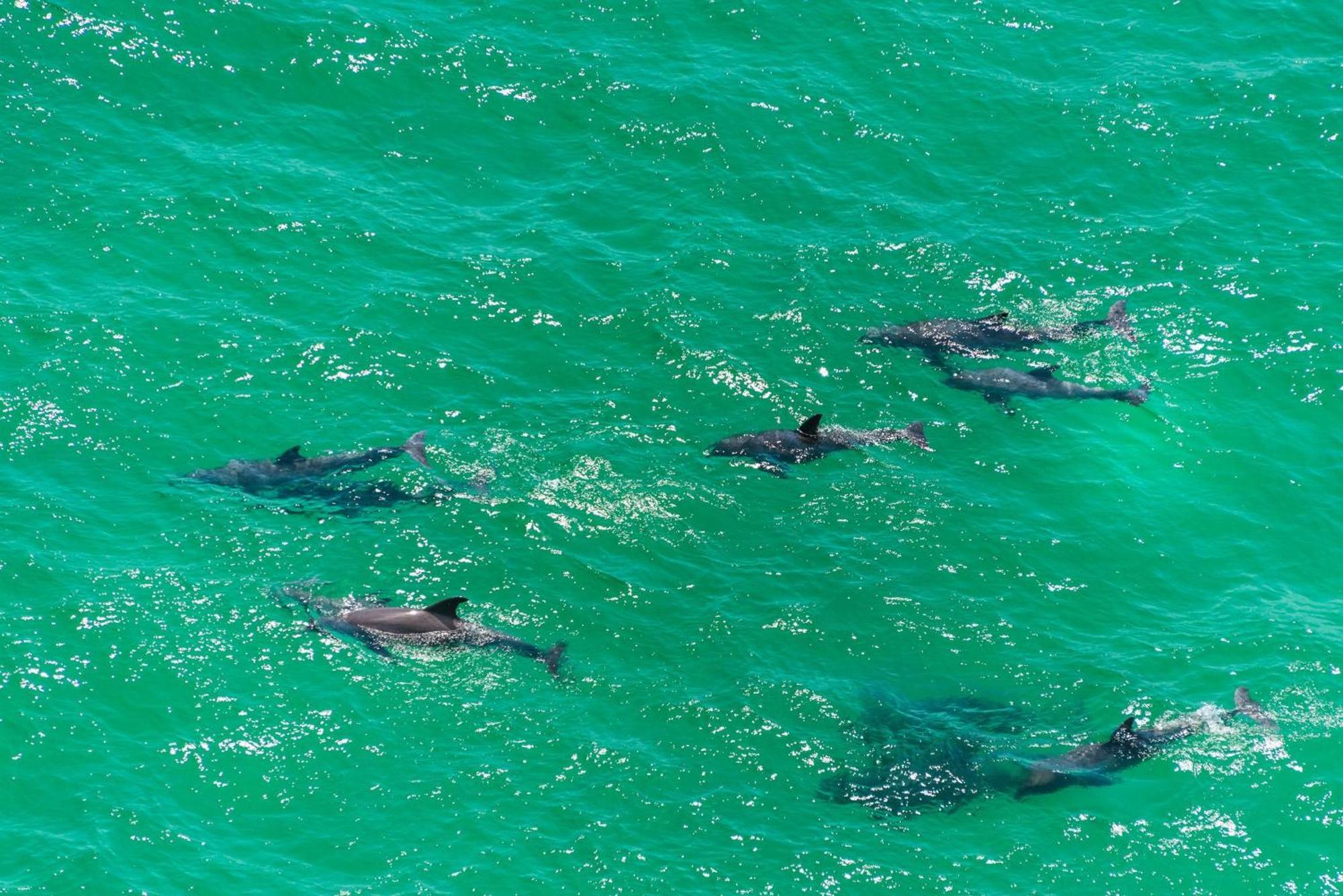 Calypso 2-2304 West Leilighet Panama City Beach Eksteriør bilde